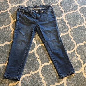 Torrid Perfect Boyfriend Ankle Vintage Stretch Jeans, 12S